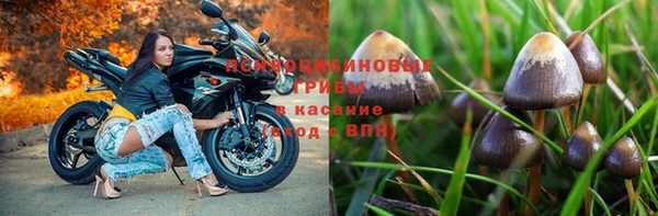 соль курить ск Магас